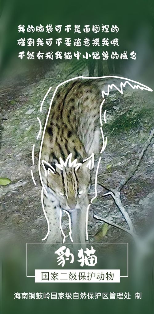 國際生物多樣性日聚焦銅鼓嶺 國家二級保護動植物的醫藥技術開發潛力